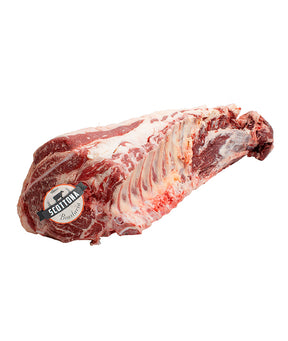 LOMBATA 8 COSTE SCOTTONA BRASLAVIA VALDORA