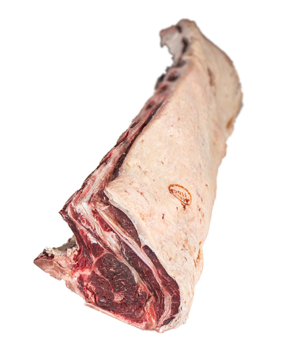 LOMBATA 8 COSTE SCOTTONA DI BOVINO ADULTO CHIANINA