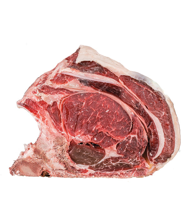 LOMBATA 8 COSTE SCOTTONA DI BOVINO ADULTO CHIANINA