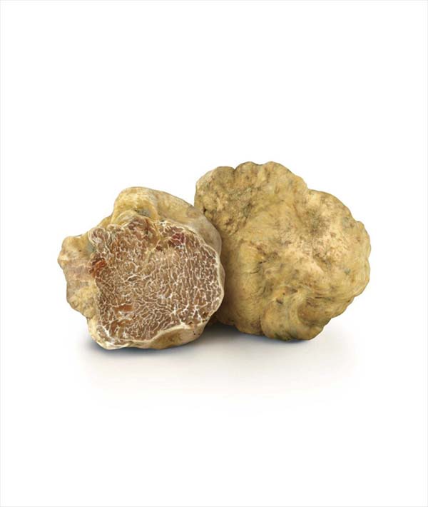 TARTUFO BIANCO I°SCELTA GR 10/+ GR 150