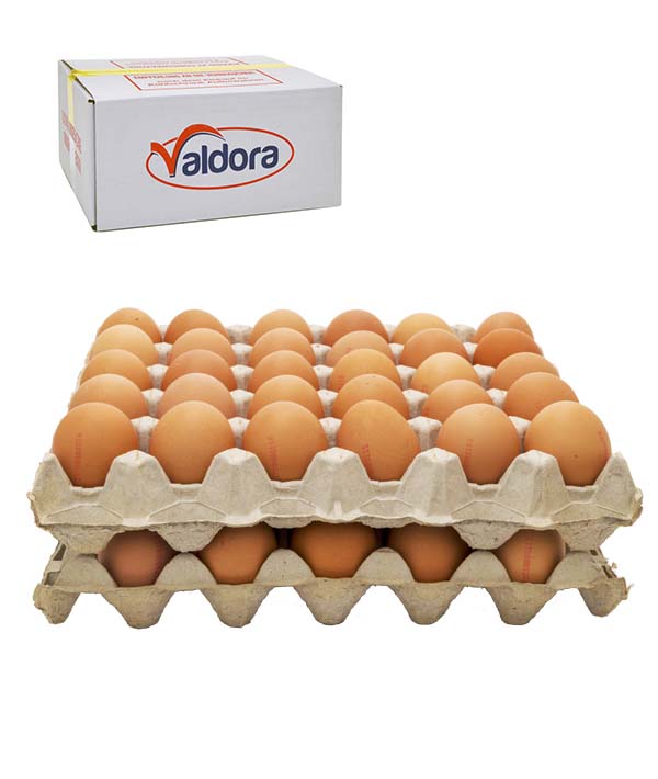 UOVA FRESCHE 53/63 PASTA GIALLA SFUSE ALLEVAMENTO A TERRA PZ 60 VALDORA KG 3,48