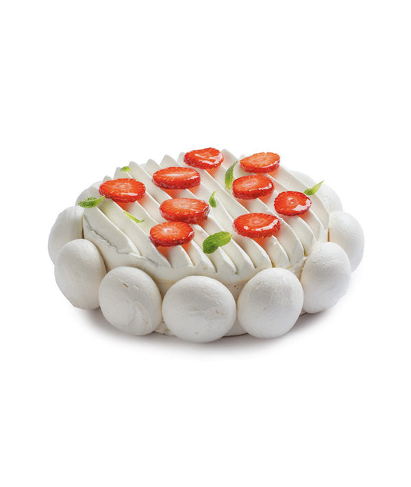 PANNA DA MONTARE 35% (PEZZO) CON TAPPO BRICK CAMEL LT 1