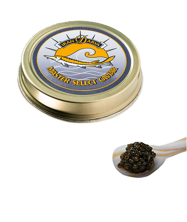 CAVIALE MASTER GUELDENSTAEDTII GR 100