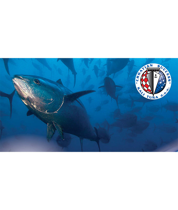 POLPA DI TONNO ROSSO, METODO GIAPPONESE