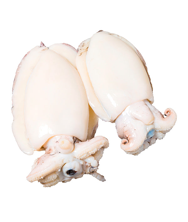 SEPPIA PULITA CHOCO g80/150 ARRICCIATA DECONGELATA