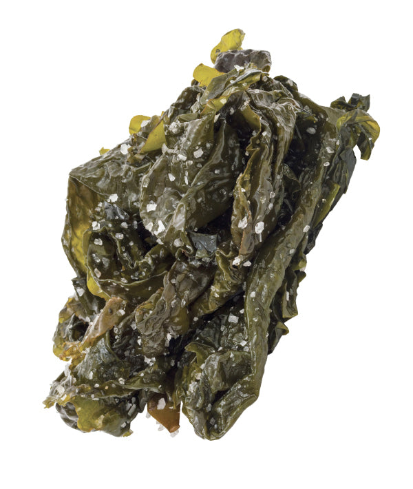 ALGA KOMBU ROYAL SALATA KG 1