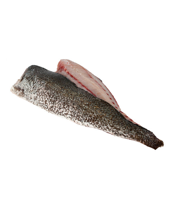 OMBRINA BOCCADORO 500/1200 SFILETTATA