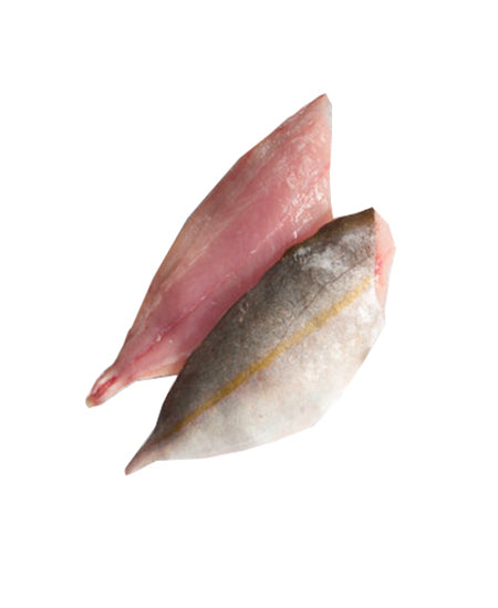 RICCIOLA OCEANICA SFILETTATA g 8000/12000