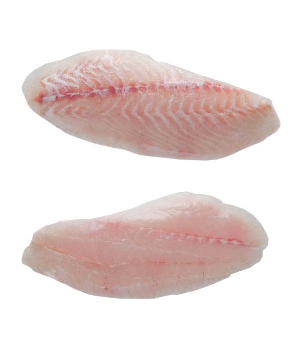 CERNIA BIANCA 2000/4000 SFILETTATA