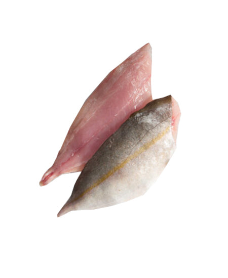 RICCIOLA OCEANICA SFILETTATA g 1000/2000