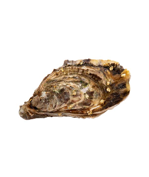 OSTRICA CONCAVA SPECIAL DIAMANTOR N.2 PZ 18/20 kg 2