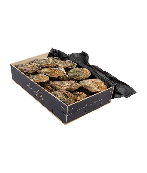 OSTRICA CONCAVA SPECIAL DIAMANTOR N.2 PZ 18/20 kg 2