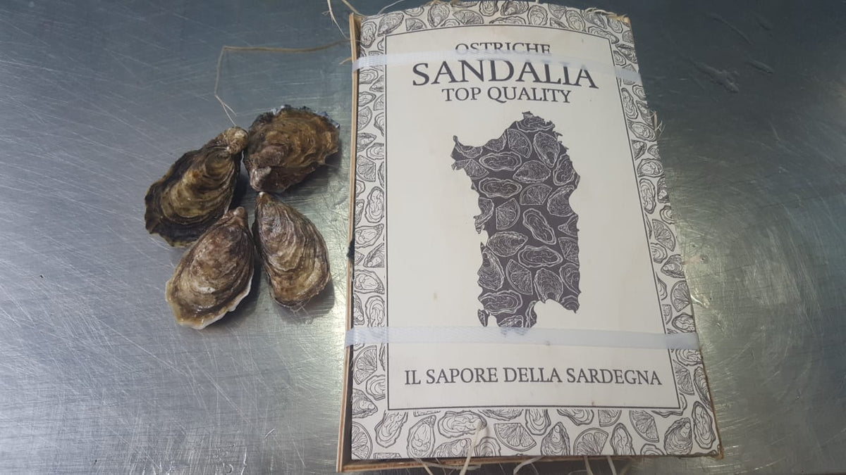 OSTRICA CONCAVA SANDALIA N.4 PZ 24/27 kg 2