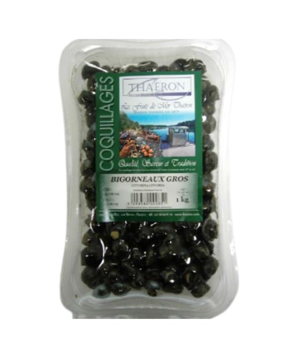 CHIOCCIOLA DI SCOGLIERA - BIGORNEAUX KG 3