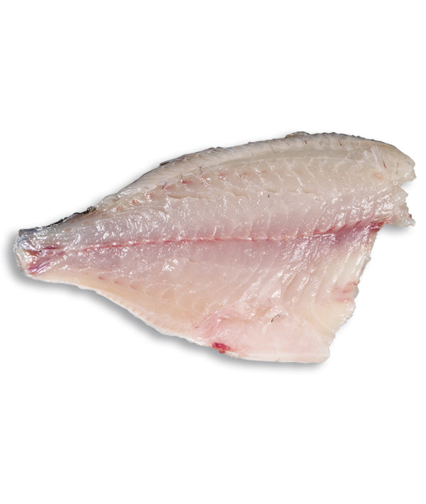 ORATA FRESCA INTERA SFILETTATA E SENZA PELLE g 1000/1500