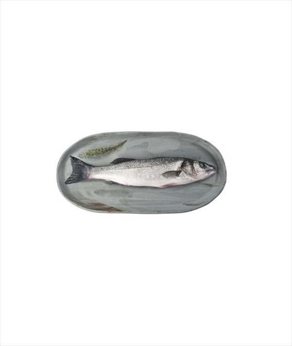 BRANZINO GRECIA g 1500/2000 EVISCERATO