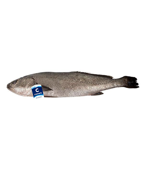 OMBRINA BOCCADORO g 3000/4000