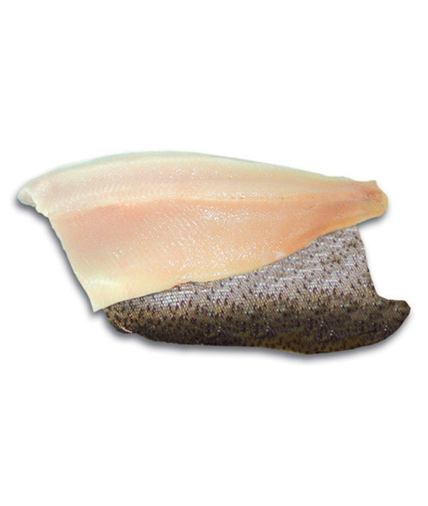FILETTO DI TROTA BIANCA 200/300 KG 0.25