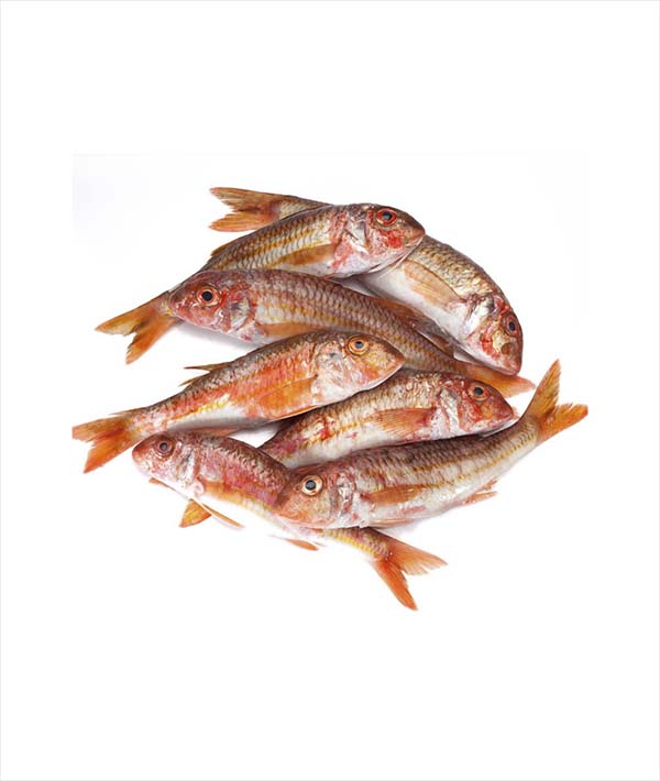 TRIGLIA DI SCOGLIO KG 1