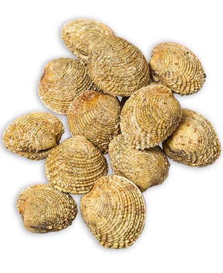 TARTUFO