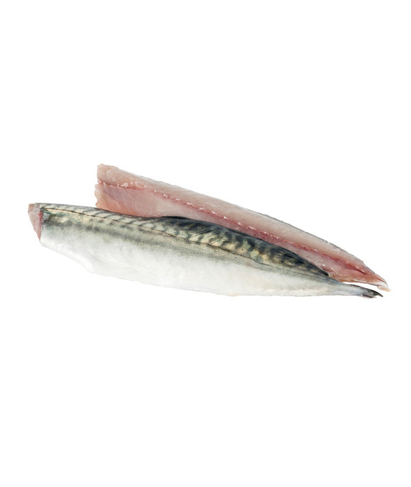SGOMBRO ATLANTICO SFILETTATO
