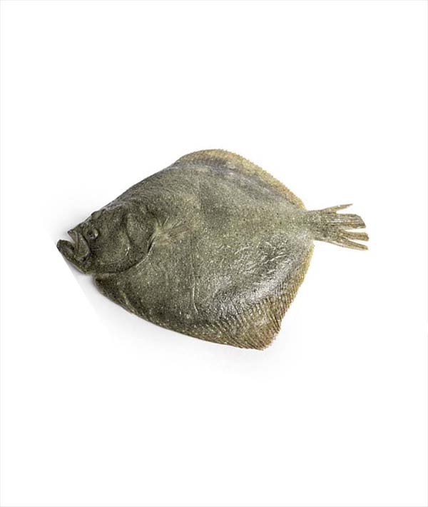 ROMBO CHIODATO ALLEVATO g 3000/4000