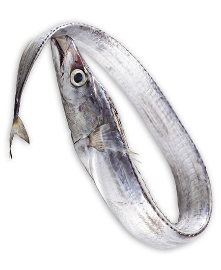 PESCE SCIABOLA