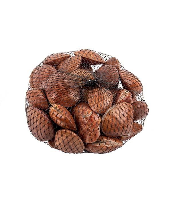 FASOLARO NOCE DI MARE KG 1