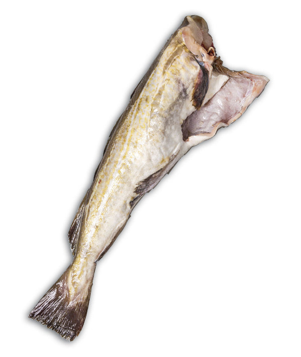 MERLUZZO NORDICO 1 NORVEGIA G 1000/ G 2000 SBAFFATO