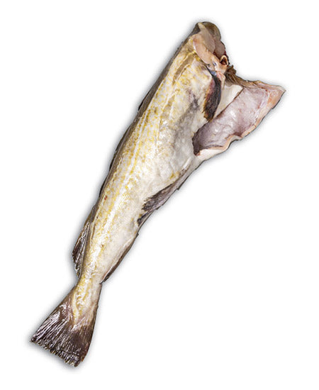 MERLUZZO NORDICO 1 NORVEGIA G 1000/ G 2000 DECAPITATO