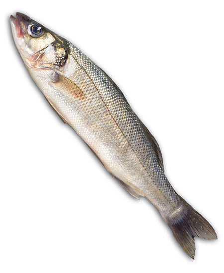 BRANZINO SELVAGGIO DI MARE g 500/1000 EVISCERATO E DESQUAMATO