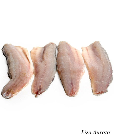 CEFALO DORATO LOTREGANO SFILETTATO