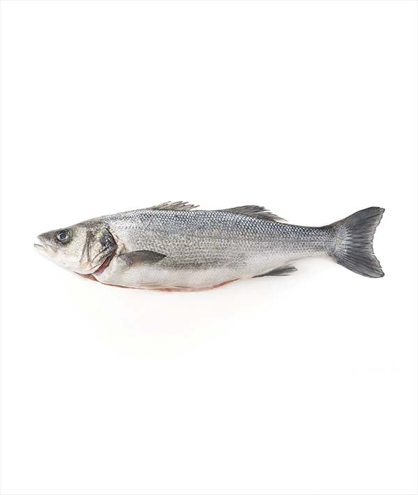 BRANZINO SELVAGGIO DI MARE g 200/500 EVISCERATO E DESQUAMATO