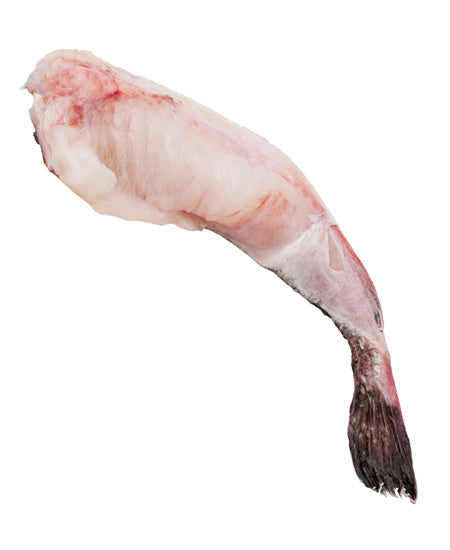 ROSPO CODA G 2000 - G 4000