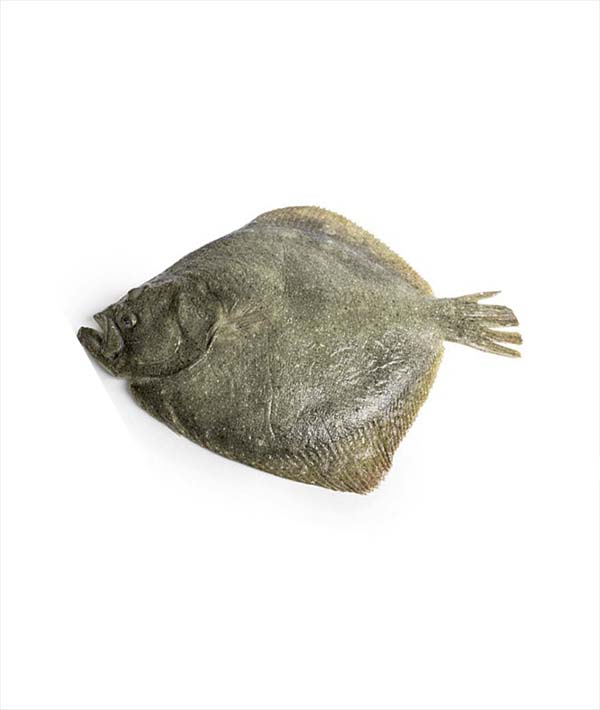 ROMBO CHIODATO ALLEVATO EVISCERATO g 1500/2000