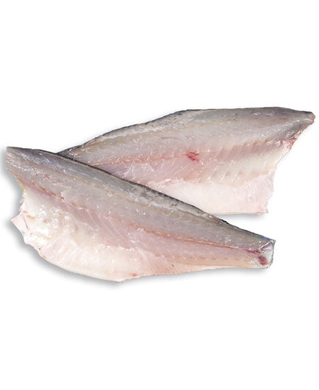 BRANZINO GRECIA g 1000/1500 SENZA PELLE E SFILETTATO