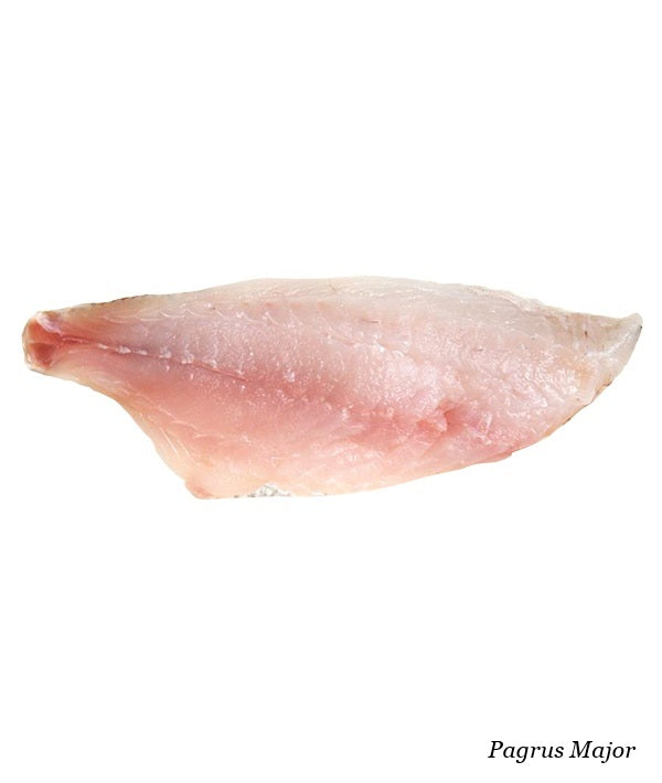 PAGRO MAGGIORE PESCATO SFILETTATO