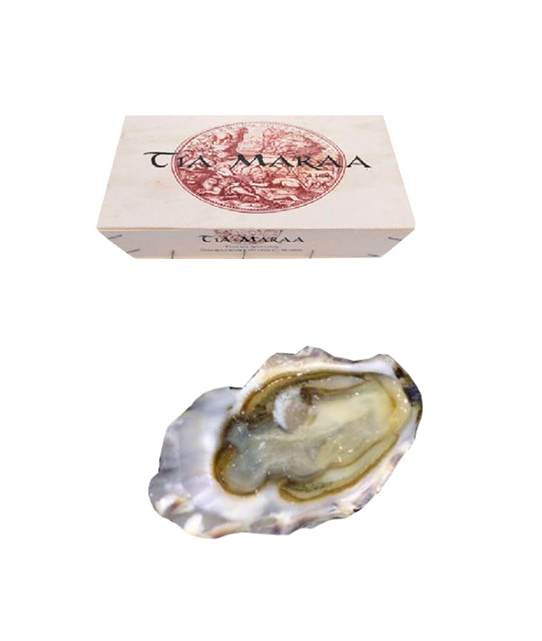 OSTRICA CONCAVA TIA MARAA N.3 PZ 24 kg 2