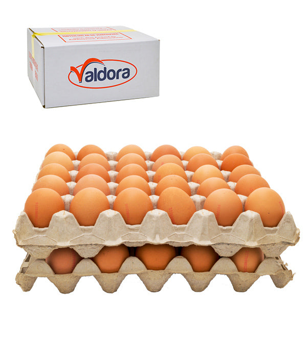 UOVA FRESCHE 53/63 PASTA GIALLA SFUSE PZ 60 VALDORA KG 3,48