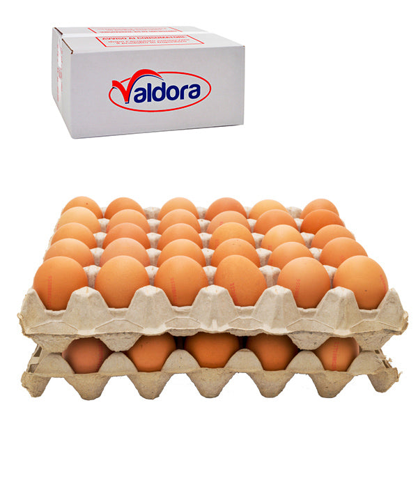 UOVA FRESCHE 53/63 SFUSE PZ 60 VALDORA KG 3,48
