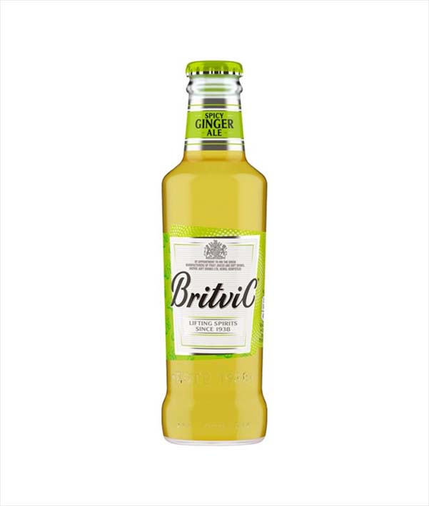 GINGER ALE BRITVIC LT 0,2 MOLINARI PZ 24