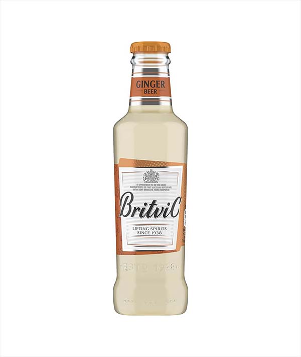 GINGER BEER BRITVIC LT 0,2 MOLINARI PZ 24