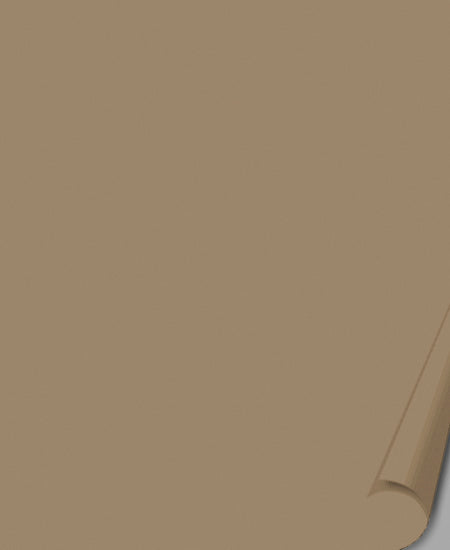 TOVAGLIA POLIPROPILENE TNT BEIGE CM 100X100 PZ 100