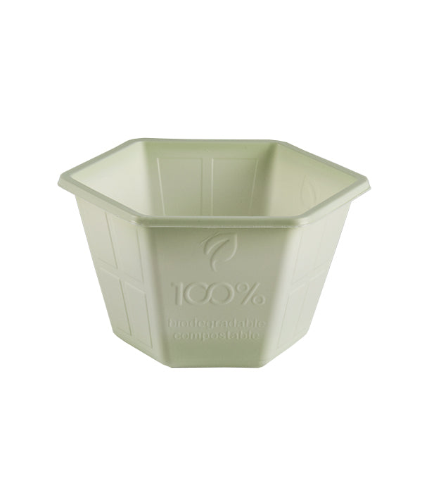 SPAVALDA COLORATA/VERDE COPPETTA GELATO COMPOSTABILE
CC 300 PZ 100