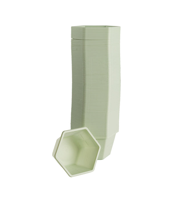 SPAVALDA COLORATA/VERDE COPPETTA GELATO COMPOSTABILE
CC 300 PZ 100