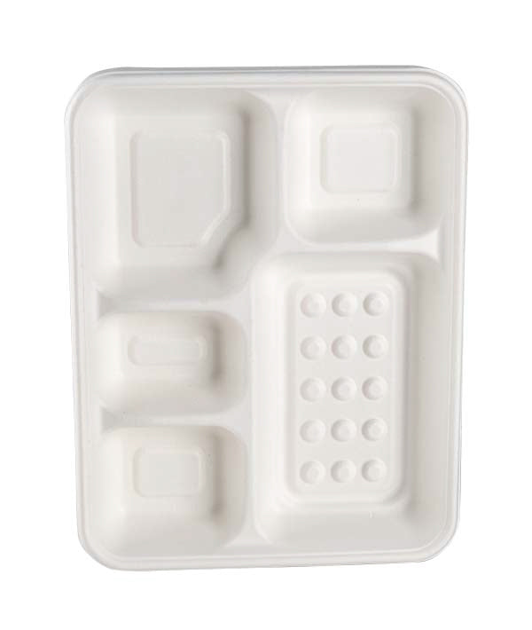 VASSOIO 5 SCOMPARTI H 3,5 CM 28X22 COMPOSTABILE PZ 50