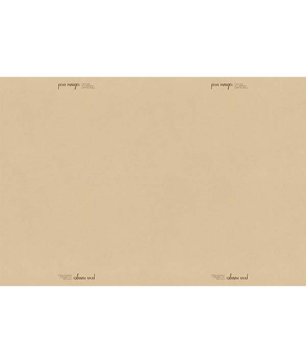 CARTA ALIMENTARE COMPOSTABILE POUR MANGER CM 40X66 PZ 500