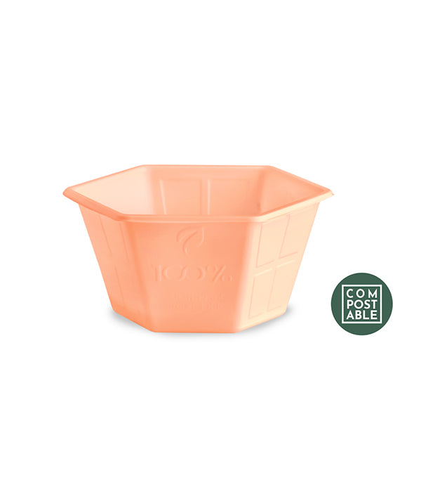 SPAVALDA COLORATA/SALMONE COPPETTA GELATO COMPOSTABILE 
CC 200 PZ 100