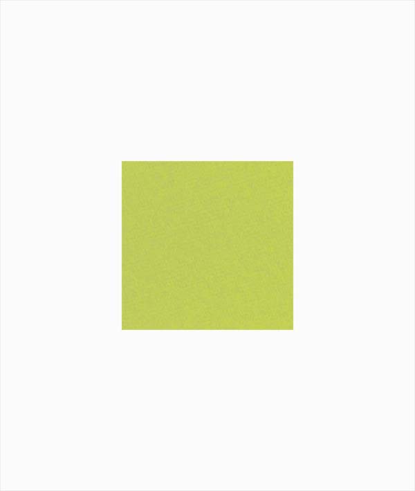 TOVAGLIOLI CARTA A SECCO BIO VERDE MELA CM 40X40 PIERROT PZ 50