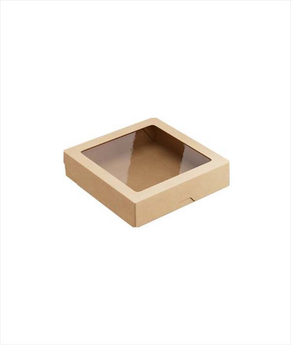 SCATOLA ASPORTO CON COPERCHIO H 4,8 TRASPARENTE CM 20X20 PZ 25
